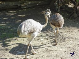 Tiergarten Schönbrunn am 03.10.2025